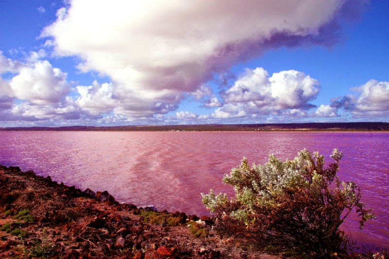 6Pink Lake - Western Australia 04.jpg